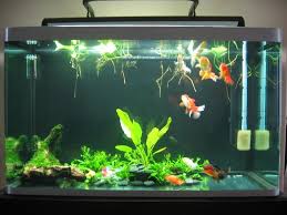 Simple Design Goldfish Tank Betta Fish Tank Goldfish