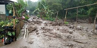 Villa dgn lantai dan dinding kayu, ruang tamu yang luas, kamar yg besar dan banyak jg fasilitas lainnya menjadi pilihan menarik untuk anda. Pakar Ipb 4 Penyebab Banjir Bandang Puncak Bogor Halaman All Kompas Com