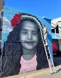 Waterford city's first wall mural gone