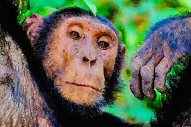 Francesco Ungaro's Instagram, Twitter & Facebook