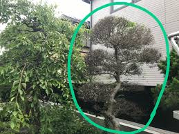 oh!庭 ya! 神戸垂水店 - エクステリアデザイン神戸