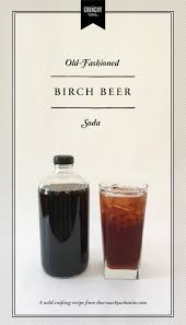 Birch Beer Vs Root Beer Old Fashioned Birch Beer Soda Thecrunchyurbanite Com Homemade Soda Old Fashioned Beer