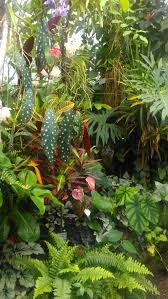 Linz Tropische Pflanzenwelt Grosste Kakteensammlung Euopas Im Botanischen Garten Pflanzen Botanischer Garten Garten