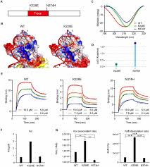 Haram is an arabic term meaning 'forbidden'.:471 this may refer to: Frontiers A Tbr1 K228e Mutation Induces Tbr1 Upregulation Altered Cortical Distribution Of Interneurons Increased Inhibitory Synaptic Transmission And Autistic Like Behavioral Deficits In Mice Molecular Neuroscience