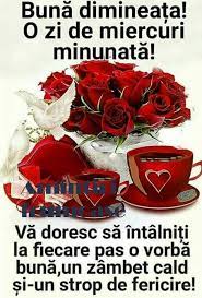 Tiffany schrauwen era pe terenul de. Facebook