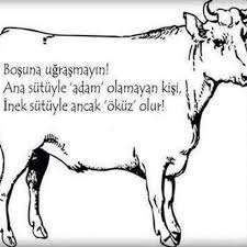 Deniz Cuhaci Luxurytrends Websta Cool Words Words Humor