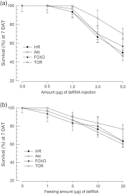 Ipm programs use current, comprehensive information on the life cycles of pests, their behaviour, biology and interactions with the environment. Alteration Of Insulin Signaling To Control Insect Pest By Using Transformed Bacteria Expressing Dsrna Al Baki 2020 Pest Management Science Wiley Online Library