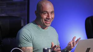 TikTok removes viral video ad of suspected Joe Rogan AI deepfake | Mashable