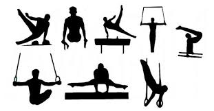 Gimnastika: Kişi idman gimnastikası -