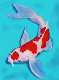 Check spelling or type a new query. Learn How To Draw A Koi Fish Fishes Step By Step Drawing Tutorials