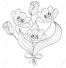 The lack of fine details make this a great option for young children. Bouquet Of Hand Drawn Tulips On White Background Coloring Page Royalty Free Cliparts Vectors And Stock Illustration Image 96178190