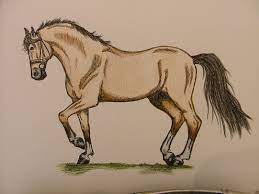 Resultado de imagen para dibujos a color de paisajes. Arte Contemporaneo Dibujos Dibujos En Venta Conny Animales Caballos Directamente Del Artista Artistas De Ocio Contemporaneo Doma De Caballos Con Un Forro De Color De Dibujo Y Un Lapiz