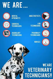 We would love to hear all about it. Pin By Tabrea Faulkner On Vetenarian Vet Tech Quotes Vet Tech Humor Veterinary Tech