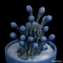Where flowers bloom, so does hope. Animated Blooming Flowers Gifs Tenor