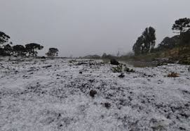 Na região sul, é muito provável que tenhamos a onda de frio mais intensa deste ano, com alta chance de neve nas áreas mais altas das serras gaúcha e catarinense e até no planalto de santa. Com 7 5 C Santa Catarina Registra O Dia Mais Frio Do Ano No Brasil Diario Do Litoral