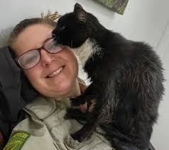 Cat rescued from pipe unharmed save 'stinkiness,' awaits new home
