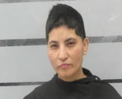 FLORES, MICHELLE LEE 02/27/2025 Age: 36 Charges: NO DRIVER'S LICENSE  (CITATION) NO LIABILITY INSURANCE (CITATION) NO DRIVER'S LICENSE (CITATION)  NO DRIVER'S LICENSE (CITATION) NO LIABILITY INSURANCE (CITATION) Arresting  Agency: LPD ...