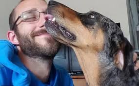 Alex Pretti, the 37 year old ICU nurse murdered by ICE, with Joule, his  beloved Catahoula Leopard dog who recently passed away. Rest in peace Alex.  Abolish ice.