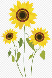 Home » gambar bunga matahari sketsa kartun animasi hitam putih. Gambar Bunga Matahari Kartun Png