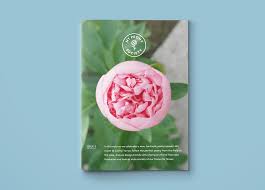 We did not find results for: My Peony Society Magazine Volume 3 Stories About Peonies My Peony Society