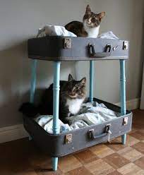 Oder doch lieber eine eigene hängematte inklusive gestell fürs abhängen zwischendurch. Verwohnen Sie Ihre Hauskatze Mit Einem Kuschelweichen Katzen Bett