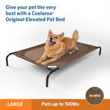 the original elevated pet bed by coolaroo pets pet bed dog love