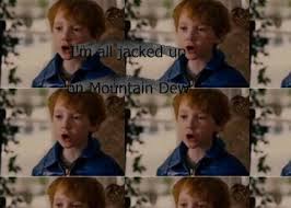 You Re The Man Now Dog Talladega Nights Haha Humor