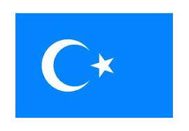 Ay yıldız doğu türkistan bayrağı Dogu Turkistan Gokbayrak Bayragi