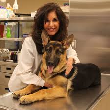 Pet medical center of edmond, edmond, ok. Dr Rosemarie Strong 2020 Oklahoma Veterinarian Of The Year Oklahoma State University