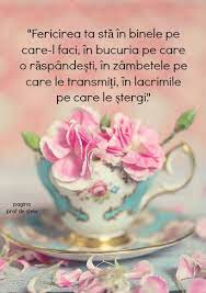 24 october at 06:00 ·. Praf De Stele Fotos Facebook