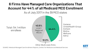 10 Things To Know About Medicaid Managed Care Issue Brief