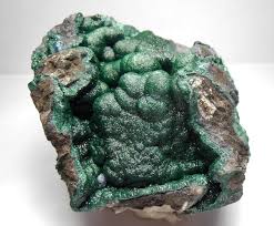 Image result for Malaxis katangensis