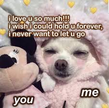 Pinterest Milknhoney Cute Love Memes Love You Meme Cute Memes