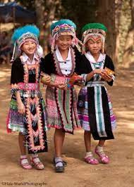 Participating in this survey will help us be able to address the major concerns of our community and the community needs at this time. 48 Hmong Culture Ideas Hmong Hmong Clothes Hmong People