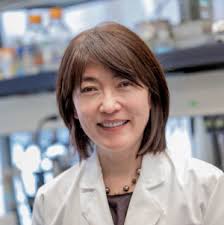 Jiyoung Lee, PhD
