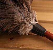 Amazon.com: Cepillo de polvo de plumas de avestruz de alta ...