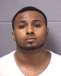 Police: Thief stole New Lenox residents' credit cards, made purchases