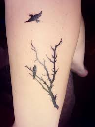 3 Birds Sitting On A Tree Branch Tattoo Tree Of Life Birds Tattoo Google Search Tree Tattoo Tree Tattoo Small Tree Tattoo Designs