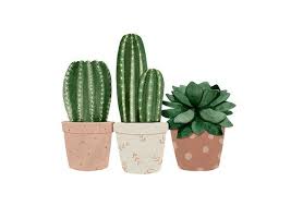 Puedes tenerlas en casa, la oficina o en el sitio que más te guste, sin embargo muchas personas creen que solo se. Image Of Cactus Fondos De Cactus Arte Con Cactus Plantas