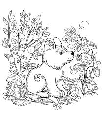 Printable dog coloring page to print and color for free : A Puppy Dog Coloring Page Free Printable Coloring Pages For Kids