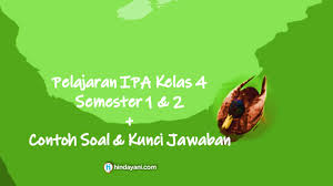 Soal latihan ipa biologi kelas 10 semester 2 beserta jawabannya. 54 Contoh Soal Ipa Kelas 4 Semester 1 2 Dan Kunci Jawaban
