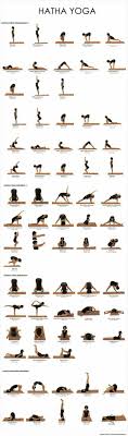 Hatha Yoga Easy Yoga Workouts Yoga Benefits Yoga Postures