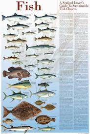 Seafood Posters Guides To Sustainable Fish And Shellfish Sustainable Seafood How To Cook Fish Seafood