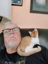 Episcopal Cats With Problems #88