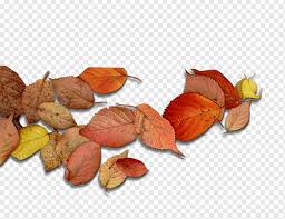 Daun kering, debu kertas, dan noda oli pada dan sekitar mesin bisa terbakar. Autumn Leaf Color Red Autumn Leaf Color Autumn Leaves Leaf Orange Leaves Png Pngwing