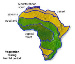 In fact only a small percentage of africa, along the guinea coast. Vegetation Regions Of Africa Climate And Vegetation In Africa Most Common In Northern Countries Of The Region Worldmapss06