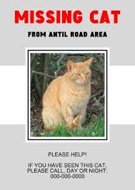 Lost cat flyer & poster templates free downloads start by ing a template the image of the template you want to use ce the lost cat flyer template is ed to your puter add a photo of your cat then edit the text boxes to personalize the flyer missing pet poster templates missing pet poster templates are of great importance because they give you a. 16 Free Missing Cat Poster Templates Ms Word Psd Pdf Designs Lost Cat Poster Missing Cat Poster Cat Posters