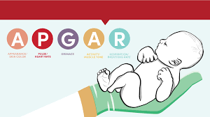 Image result for APGAR Score