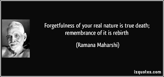 You can to use those 8 images of quotes as a desktop wallpapers. Quotes About Rebirth 146 Quotes