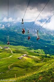 Ziplining In The Swiss Alps Just Looks So Amazing Travel Spot Places To Travel Places To Visit
